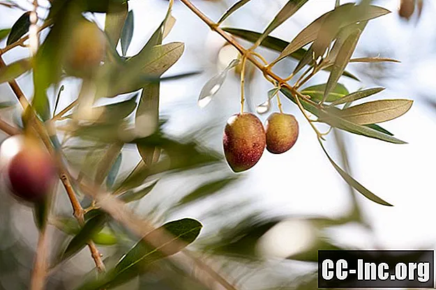 I benefici per la salute dell'estratto di foglie di olivo