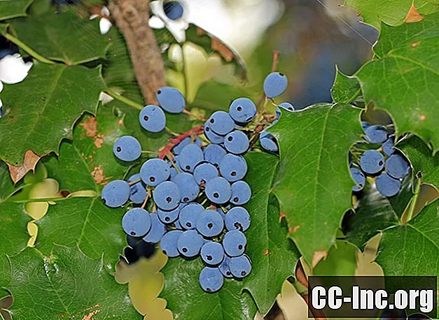 Zdravstvene koristi grozdja Oregon