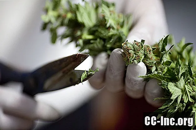 Законитост употребе медицинске марихуане за ублажавање бола
