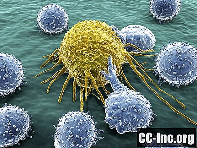 Il ruolo delle cellule T nel cancro