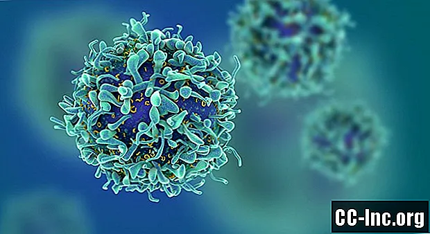 10 najpomembnejših stvari o limfocitih