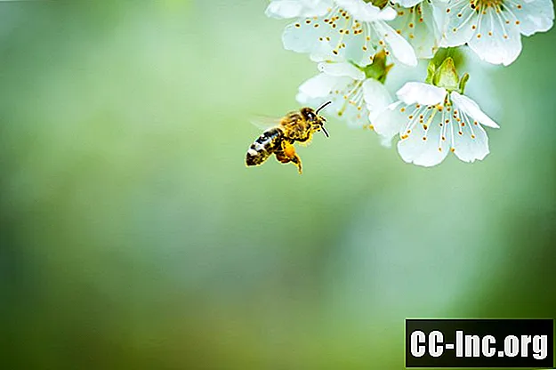 Trate una alergia a la picadura de abeja de forma rápida y segura