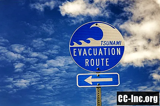 Conseils de préparation au tsunami