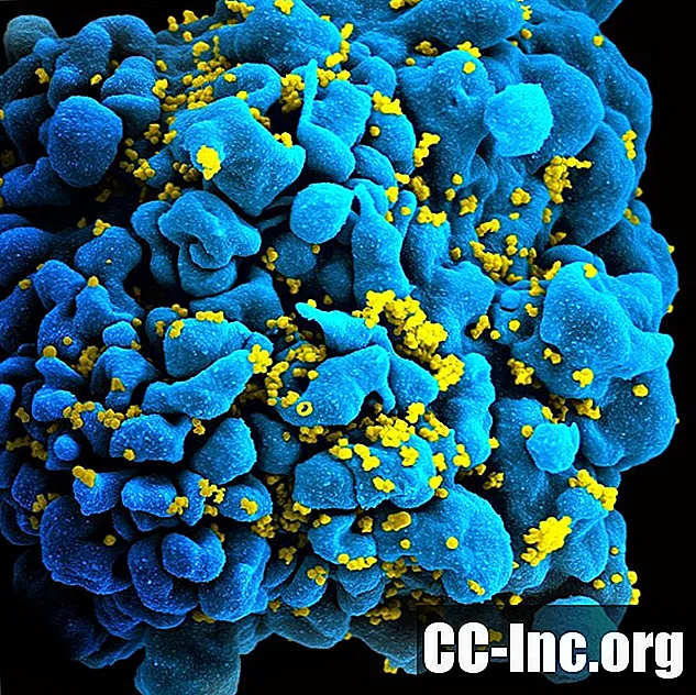 Inzicht in hiv als een provirus