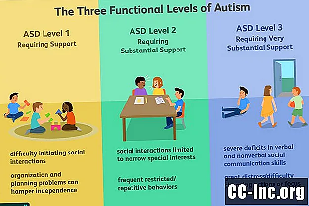 Kādi ir 3 autisma līmeņi?