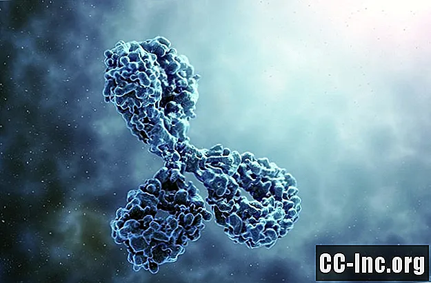 Quais são os 5 tipos de anticorpos?