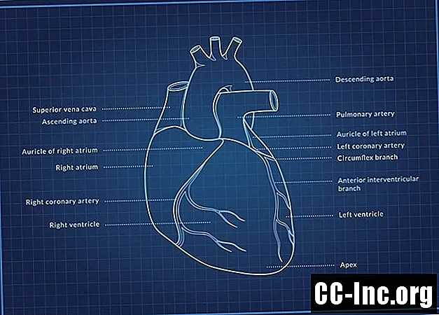 Τι σημαίνει Καρδιοθωρακικός στη Χειρουργική