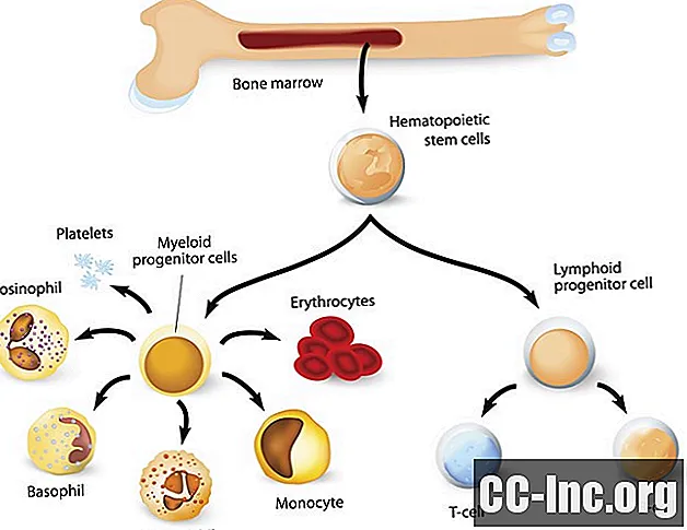 Što je leukopenija?