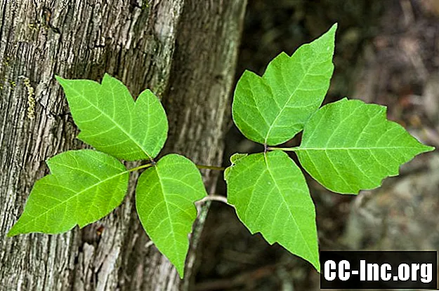 Какво е Poison Ivy?