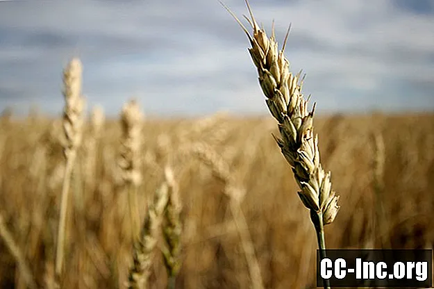 Qu'est-ce qu'une allergie au blé?