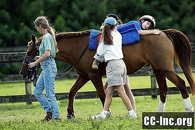 Vad är en hästterapeut?