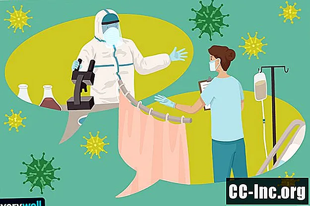 Was Wissenschaftler über das COVID-19-Virus wissen