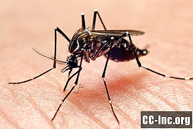 Kaj morate vedeti o virusu Chikungunya - Zdravilo