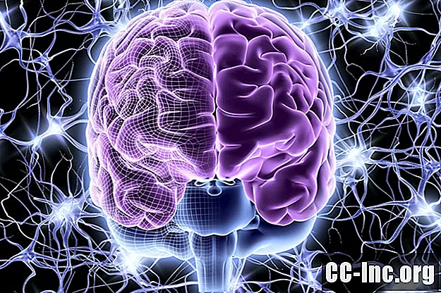 מה שאתה צריך לדעת על מערכת העצבים