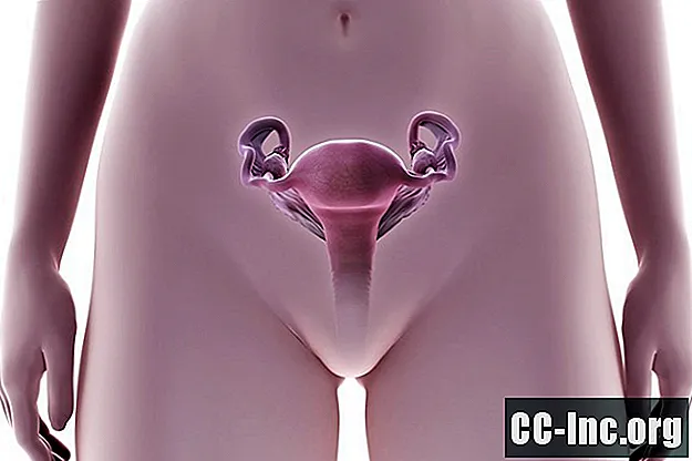 Was Sie vor einer Endometriumbiopsie wissen sollten