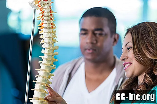 De ce avem curbe spinale?