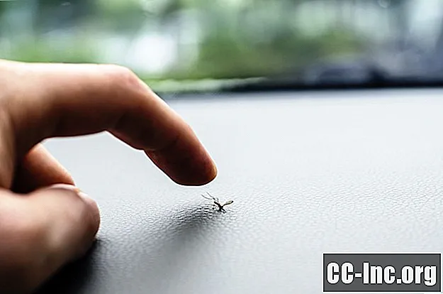 Dlaczego komary nie rozprzestrzeniają zapalenia wątroby