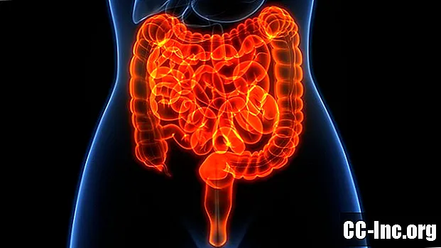 Sistemul dvs. digestiv și modul în care funcționează