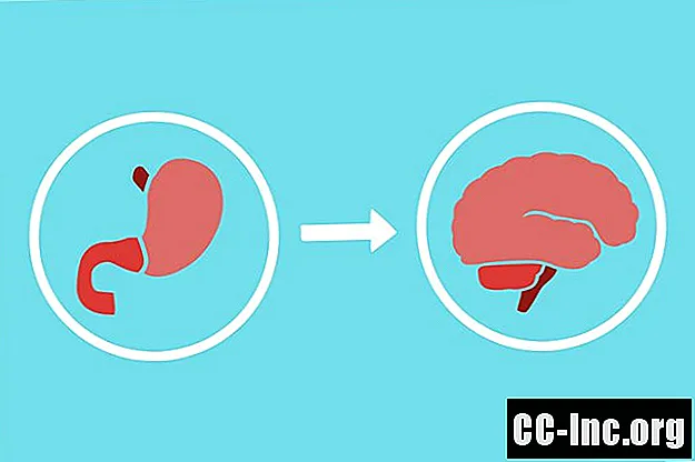 Your Gut’s Effect on Your Mind